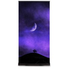 BLACK Roller Banner | Portable Presentations