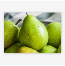 440gsm High-Quality Durable PVC Posters